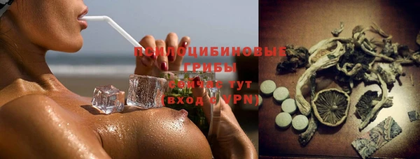 mdpv Кодинск
