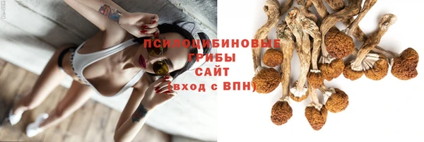 мяу мяу мука Козельск