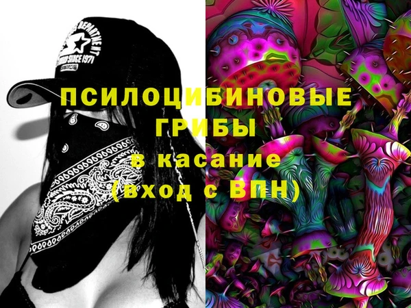 мяу мяу мука Козельск